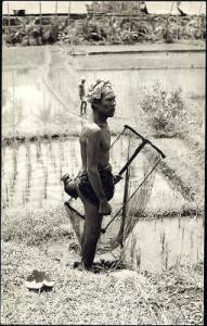indonesia BALI Native Male Rice Fields 50s RP Kungsholm