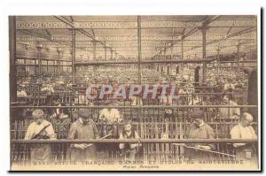 Manufacture Francaise ladies and Saint Etienne cycles Old Postcard Workshop A...