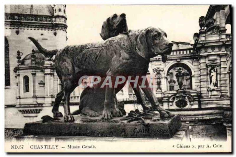 Old Postcard Chateau De Chantilly Musee Conde Dogs