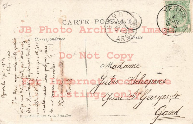 Belgium, Ypres, Pansy Multi-View Scenes