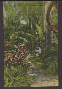 Florida St. Petersburg - Tropical Sunken Gardens pm1955 ~ Linen