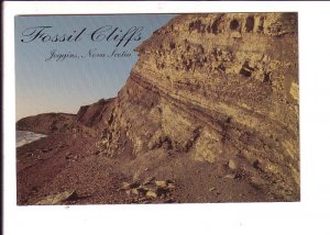 Fossil Cliffs, Joggins, Nova Scotia, Canada
