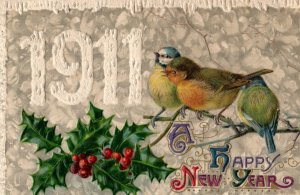 1911 Cute Birds Holly Ice Snow Winsch Back New Year Vintage Postcard F10