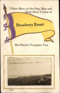 Strawberry Resort California CA Pennant c1910 Real Photo Inset Vintage Postcard