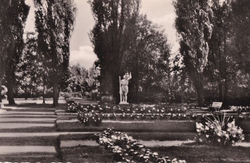 Rheinberg Stadtpark Gardens Stunning Vintage German Real Photo Postcard