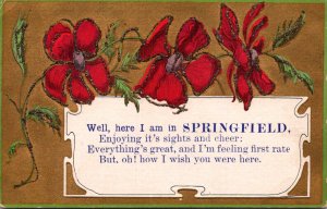 Illinois Springfield Well Here I Am With Flowers