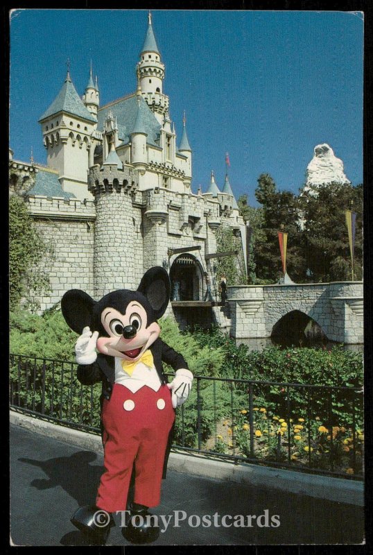 Mickey Welcomes You