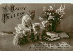 RPPC Cat Postcard Silver Tabby  Kittens & Books, A Happy Birthday Poem