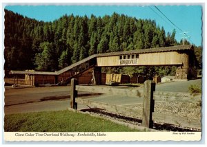 c1950's Giant Cedar Tree Overhead Walkway Konkolville Idaho ID Vintage Postcard