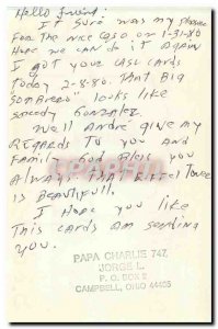 Modern Postcard Buckeye