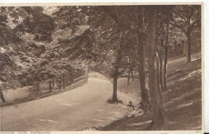 Sussex Postcard - Paradise Drive - Eastbourne - Ref 19639A