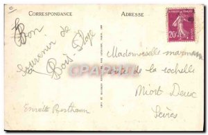 Old Postcard Donkey Mule Ile de Re Saint Martin Back fields an ass in panties