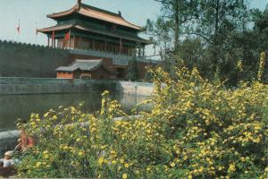 BF18050 gate of goldy prowess palace museum  china front/back image