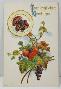 Thanksgiving Greetings Turkey 1910s Vintage Antique Postcard