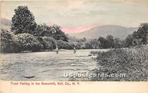Trout Fishing Beaverkill NY 1910