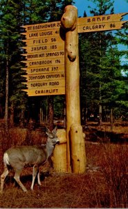 Canada Banff National Park Mule Deer and Rustic Directional Sign Outside Of B...