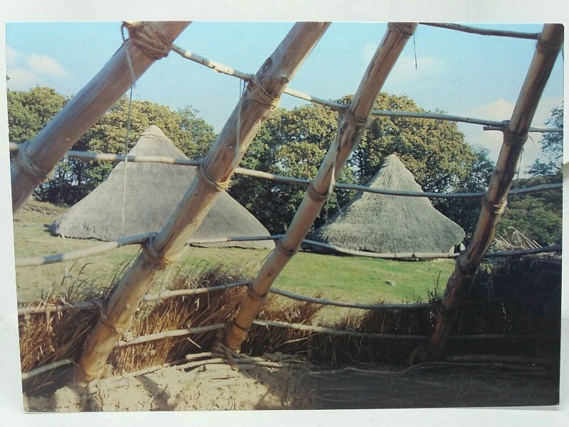 Castell Henllys Pembrokeshire Reconstructed Iron Age Settlement Vintage Postcard