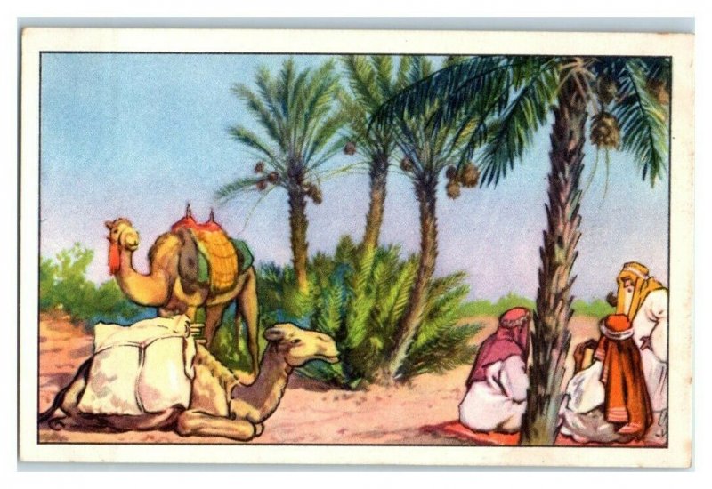 Dates, North Africa, Nourishing Food, Echte Wagner German Trade Card *VT31U