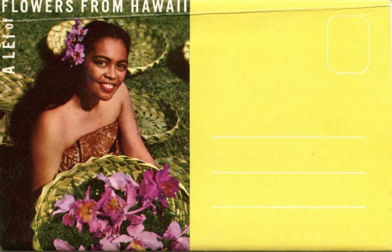 Folder - Hawaii. Flowers from Hawaii (12 Views + Covers + Narrative)