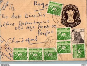 India Postal Stationery Tiger 30 to Chandigarh Tiger