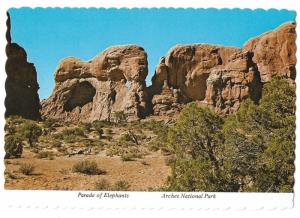 Parade of Elephant formations in Arches National Park Utah 4 by 6 card