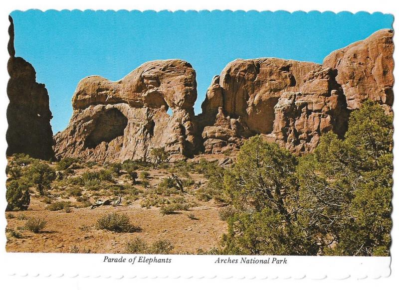 Parade of Elephant formations in Arches National Park Utah 4 by 6 card