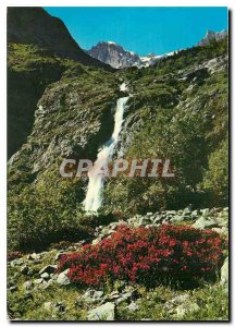 Postcard Modern Rhododendron and waterfall needles Marmes (3057 m)