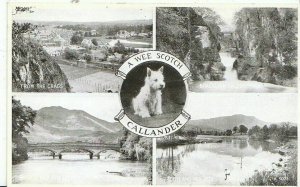 Scotland Postcard - A Wee Scotch - Views of Callander - Stirlingshire  1958