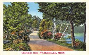 Waterville Minnesota~Path Along Lakeside~Birches by Lake~1940s Linen Postcard