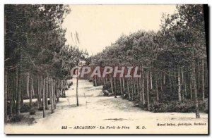 Old Postcard Arcachon La Foret de Pins