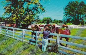 Kentucky Lexington Typical Blue Grass Horse Farm