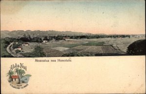 Moanalua Near Honolulu Hawaii HI Aloha Nui Series #148 c1910 Postcard