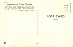Pennsylvania - Amish School Boys - [PA-614]