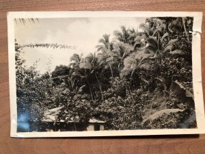 1940s RPPC Papeete Tahiti Street Scene Nature Photos Lot of 2