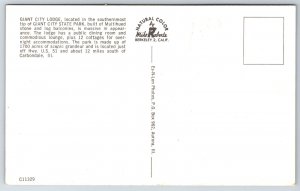 Carbondale Illinois~Giant City Lodge Exterior View @ State Park~Vintage Postcard