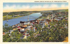 Panorama Maysville Kentucky Bridge 1940s linen postcard