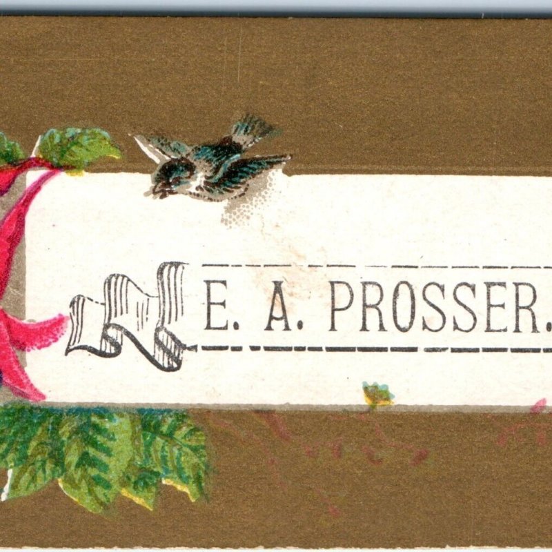 c1880s E.A. Prosser Calling Trade Card Litho Stock Flower Bird Banner Visit C3