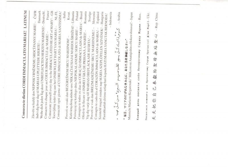 Painting, Cordi Immaculato Mariae, Latin