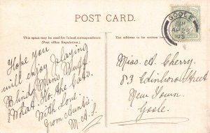 Anthropomorphic Humanized Cat Blind Man's Buff in Catland 1905 postcard ...