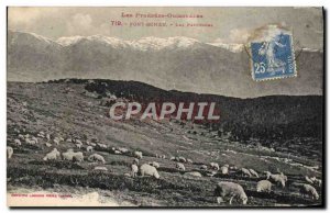 Postcard Old Font Romeu Les Paturages