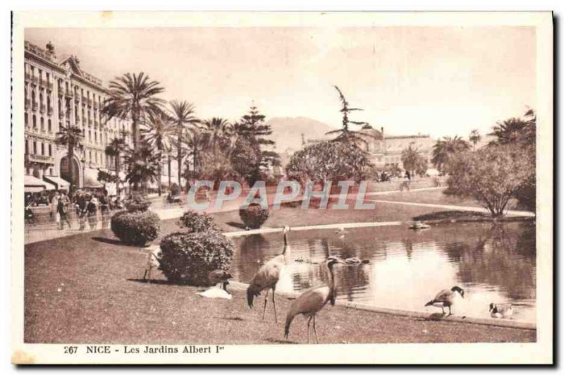 Old Postcard Nice Albert 1st Gardens