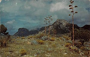 Chisos Mts. - Big Bend National Park, Texas TX  