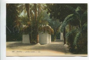 425811 ALGERIA BISKRA London park Vintage LL postcard