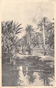 BR46278 Gabes Oasis de Tiboulben   Tunisia