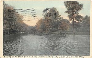 Geneva On The Lake Ohio 1929 Postcard Looking Up Marsh Chestnut Grove Beach