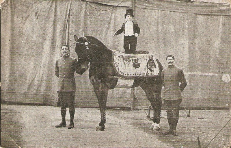 Circus scene. Little man on horse Old vintage French photo  postcard