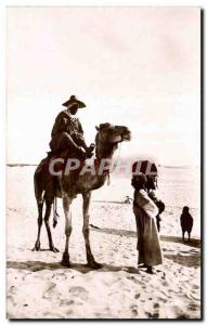 Old Postcard Algeria prattle Sahara Camel Camel