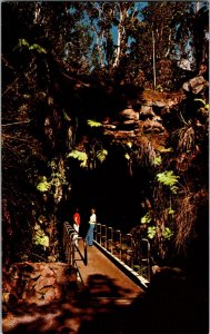 Vintage Postcard Thurston Lava Tube Hawaii Volcanoes National Park JL9