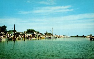 Maryland Smith Island The Harbor At Ewell