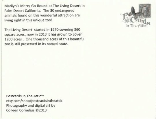 Wild Cats on Marilyn's Merry-Go-RoundThe Living Desert Palm Desert California
